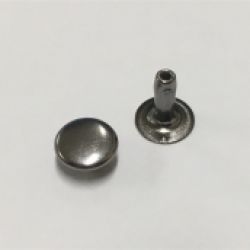 Хольнитены